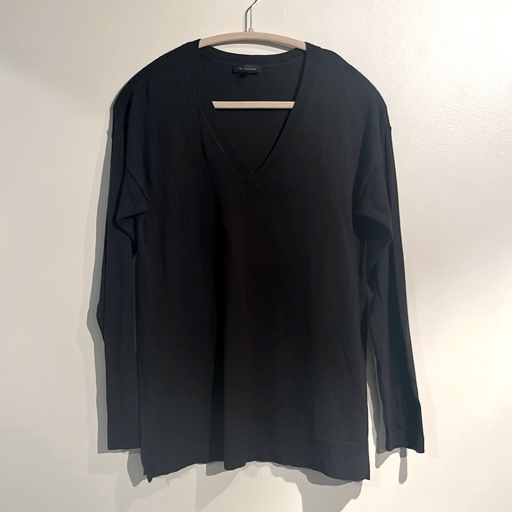 The Limited V Neck Sweater